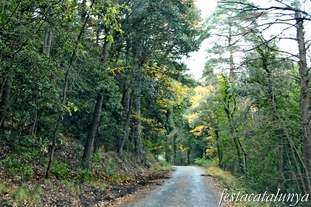 Vimbodí i Poblet - Vall de Castellfollit 
