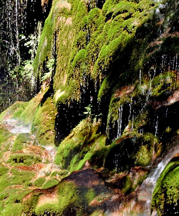 La Vall del Glorieta i Ermita del Remei d'Alcover 