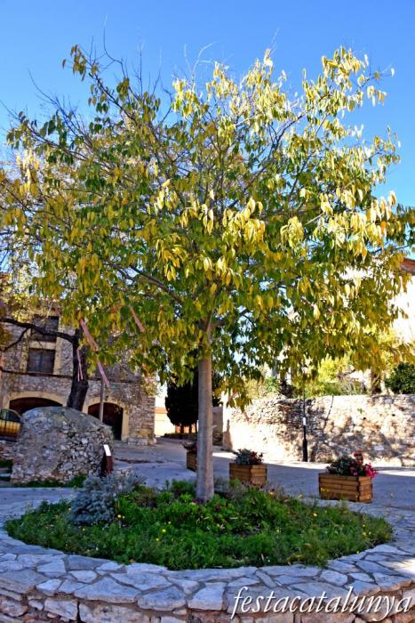 Masllorenç - Plaça de l'Om de Masarbonès