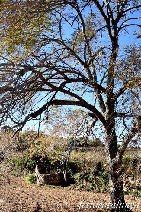 Masllorenç - Els pous de Masarbonès 