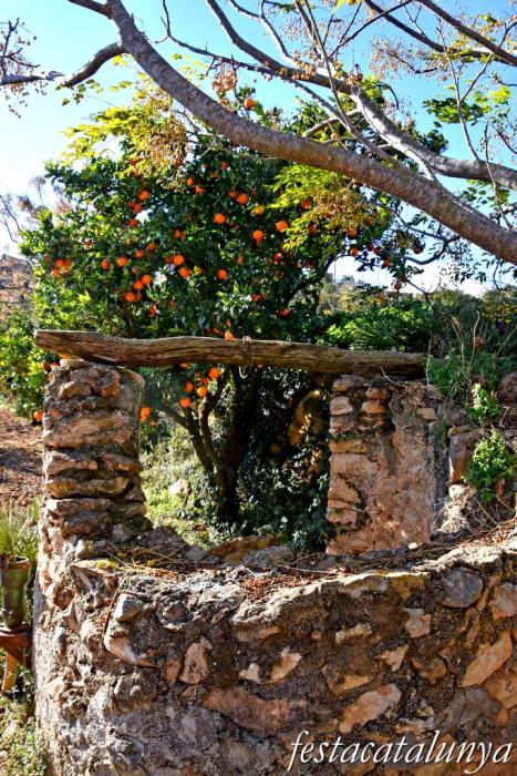 Masllorenç - Els pous de Masarbonès 