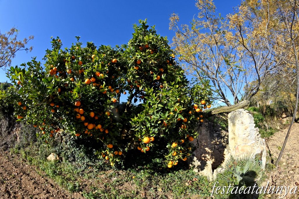 Masllorenç - Els pous de Masarbonès