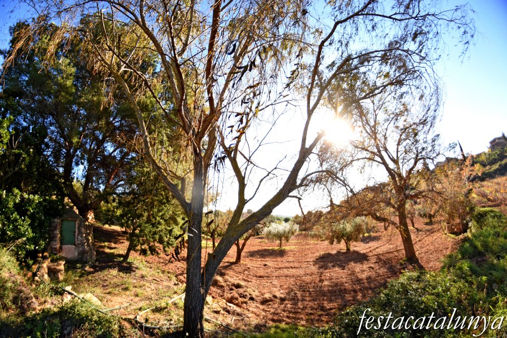 Masllorenç - Els pous de Masarbonès 