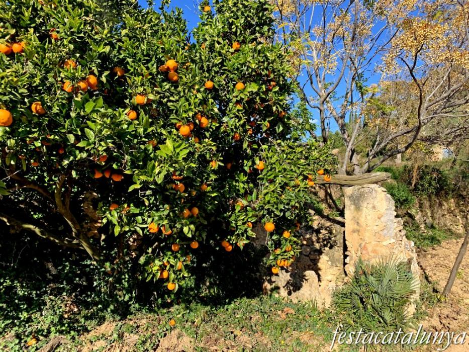Masllorenç - Els pous de Masarbonès 