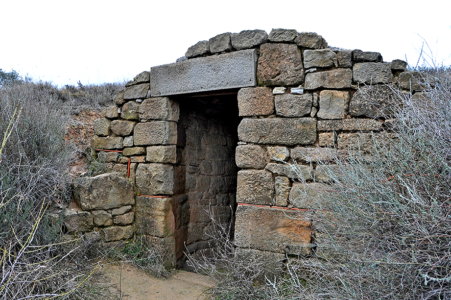 Pou de Gel de Guissona ***