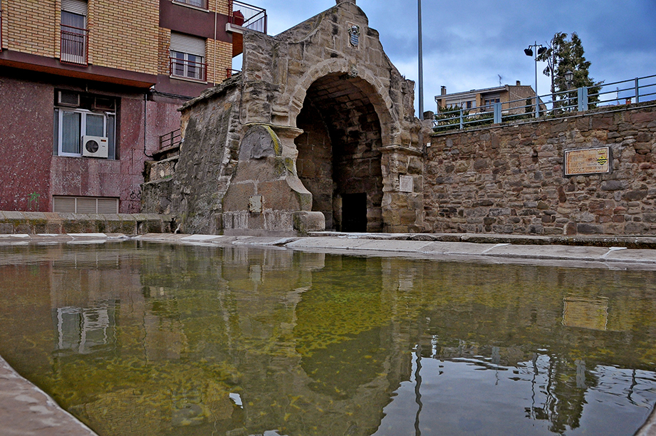 Font i Safareigs de la Vila a Guissona ***