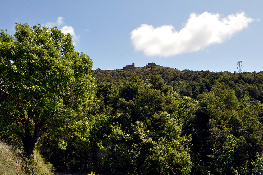Castell de Lladurs