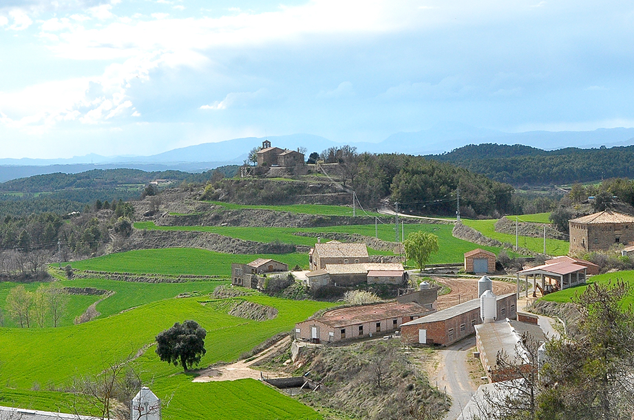 Clarà a Castellar de la Ribera