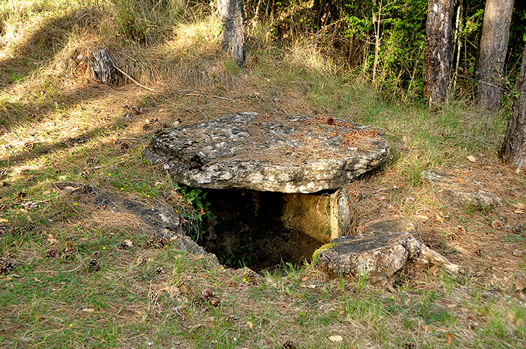 Necròpolis neolítica de Llor ***