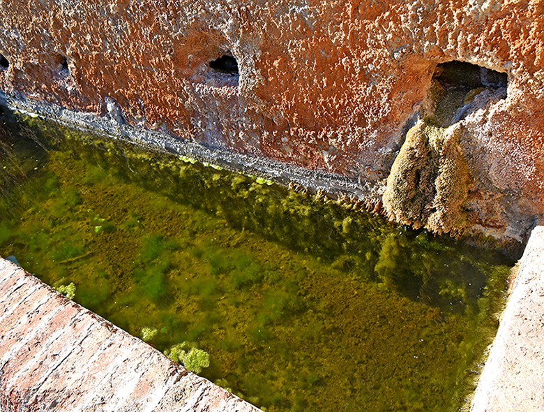 Safareigs públics dels Garidells