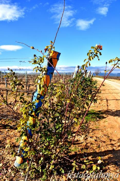 La Granada - Vinya de l'Om o vinya pintada