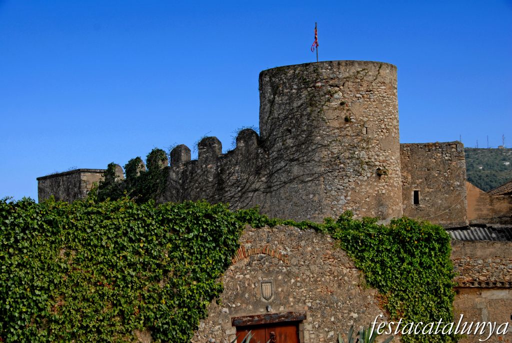 Castell de Canyelles ***