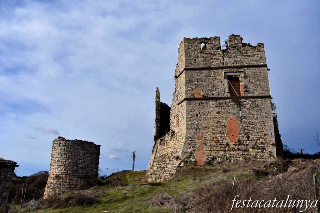 Castell-Palau de Savallà