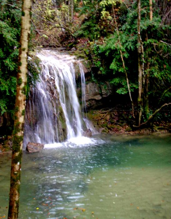 Vallfogona de Ripollès - Gorga de Dalt (Foto: Ajuntament)