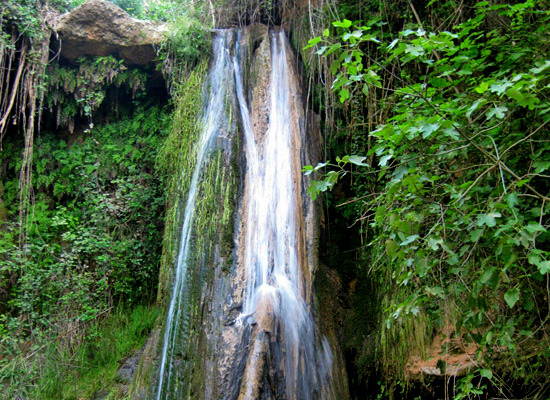 Senderisme pels Salts d'Aigua de Cabrera d'Anoia: Salt dels Capellans, del Rector, del Cargol, dels Cups o Cucs i de la Mala Dona