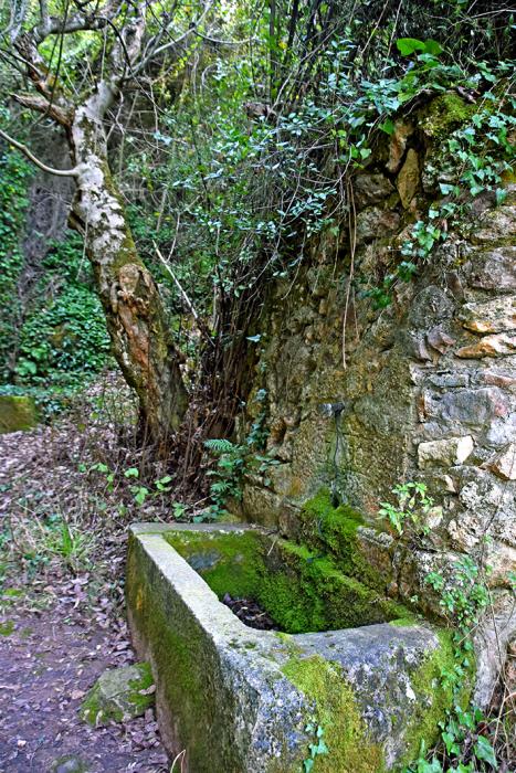 Font del Figuerot de Cabrera d'Anoia