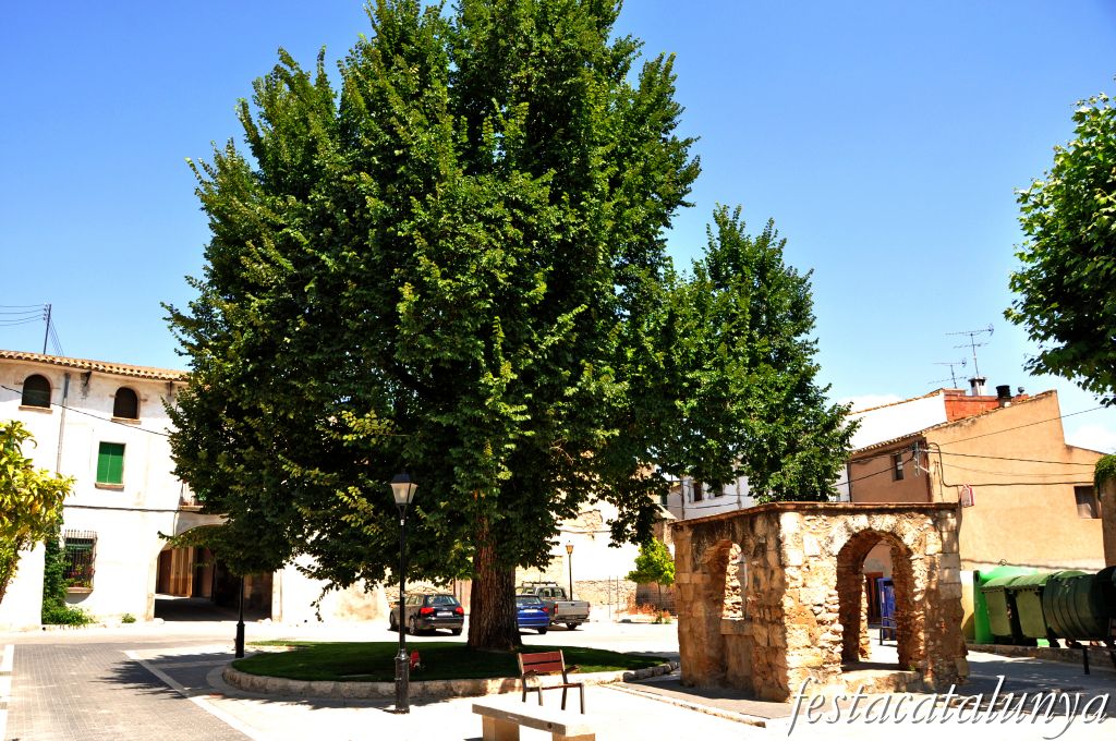 Om Centenari de Banyeres del Penedès