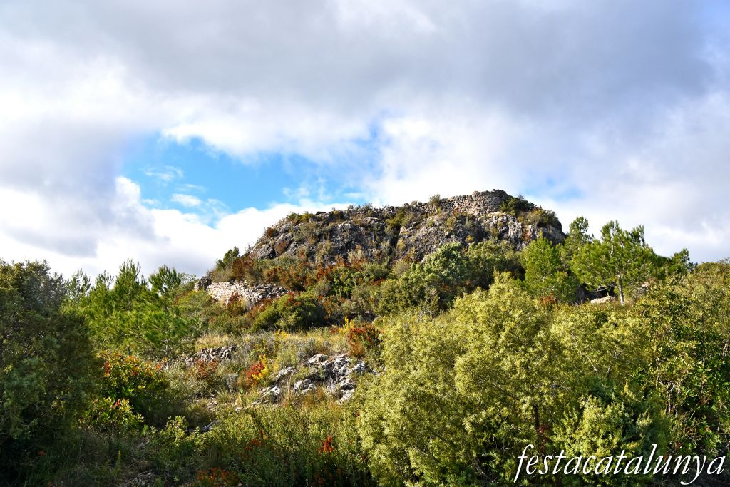 Albinyana - Castell de l'Esquernosa o de l'Esquena Rosa
