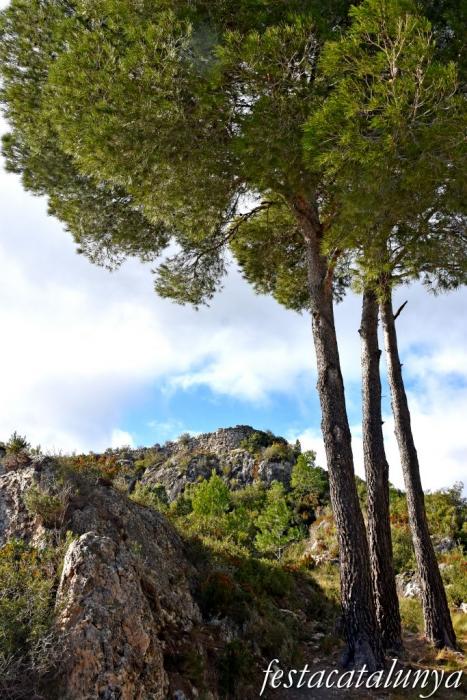 Albinyana - Castell de l'Esquernosa o de l'Esquena Rosa 