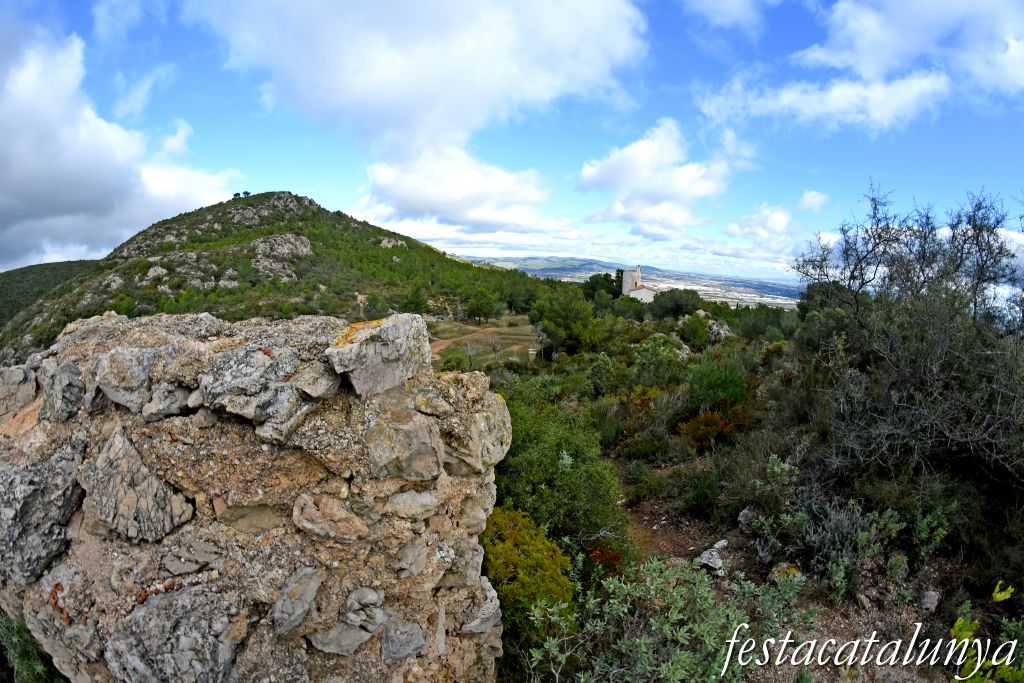 Albinyana - Castell de l'Esquernosa o de l'Esquena Rosa 