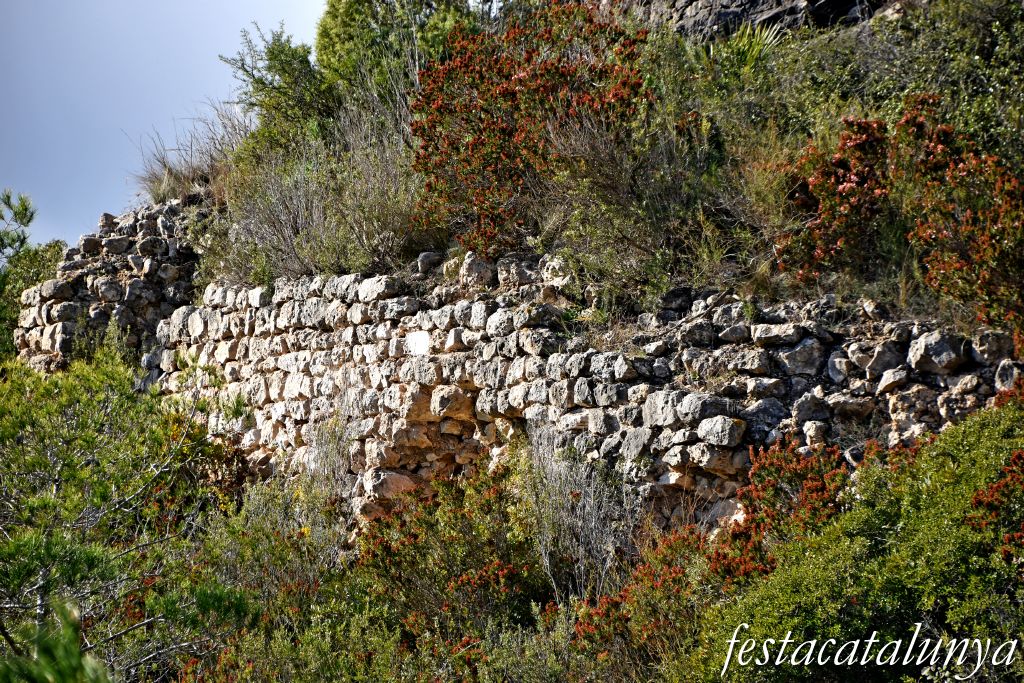 Albinyana - Castell de l'Esquernosa o de l'Esquena Rosa 