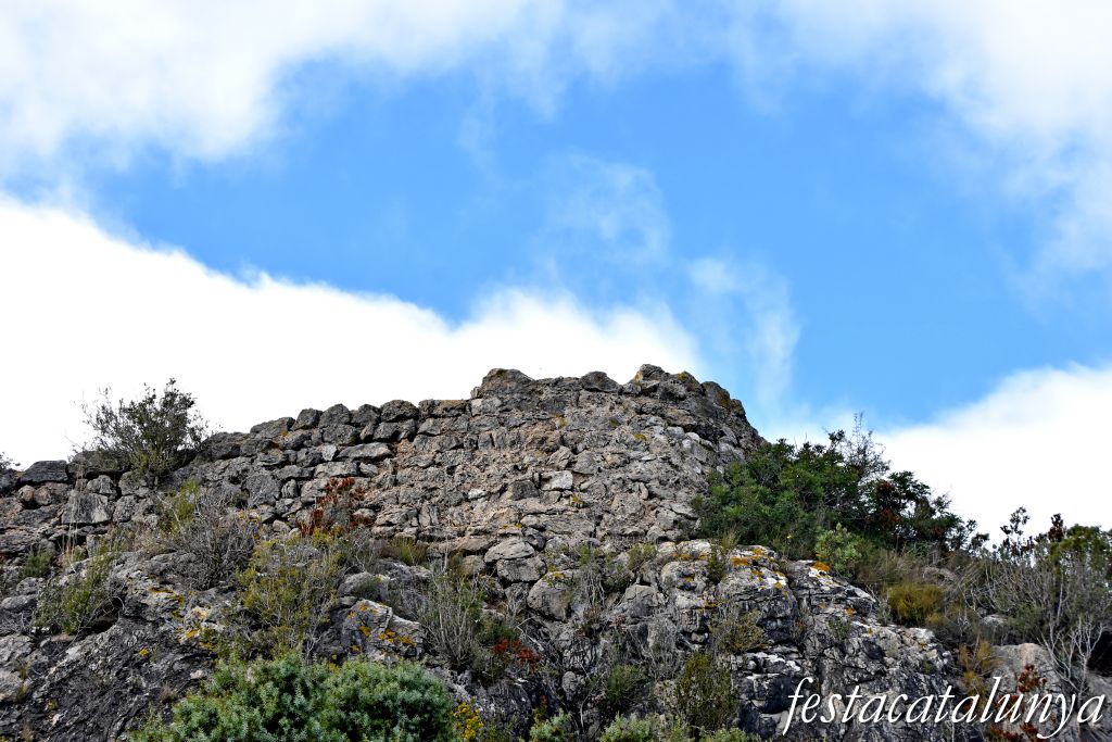 Albinyana - Castell de l'Esquernosa o de l'Esquena Rosa