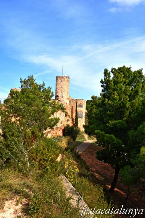 Vila-rodona - Castell 