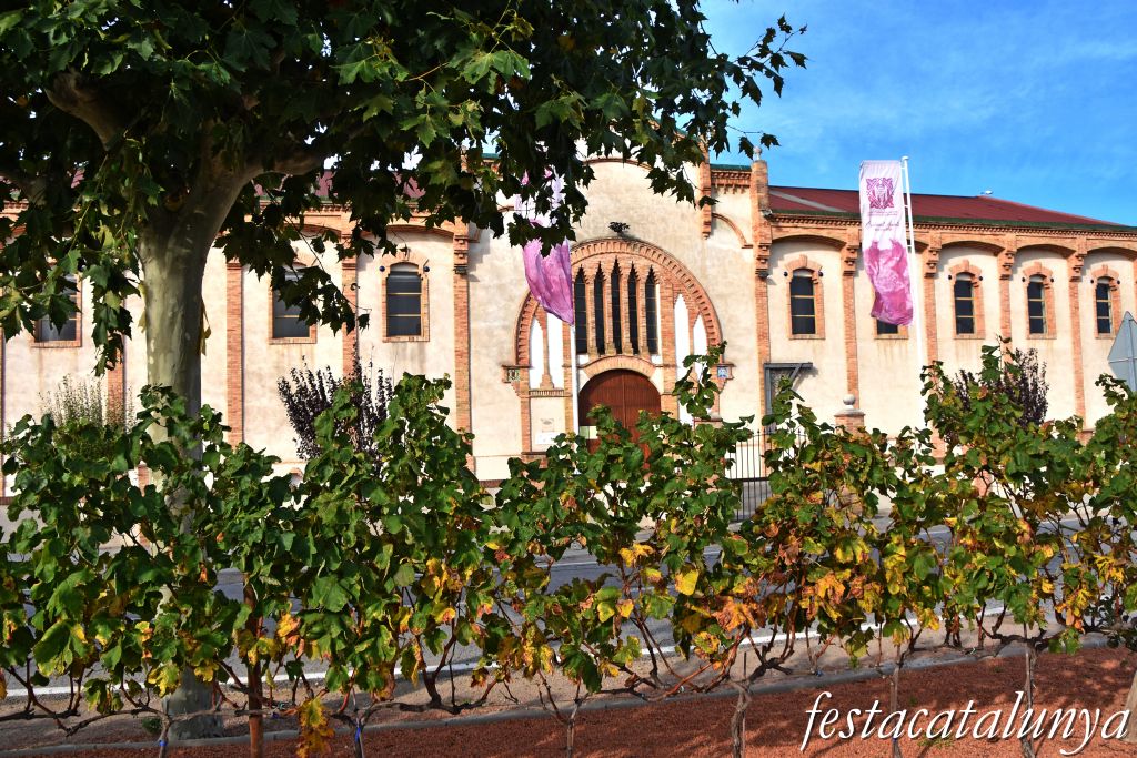 Vila-rodona - Cooperativa Agrícola