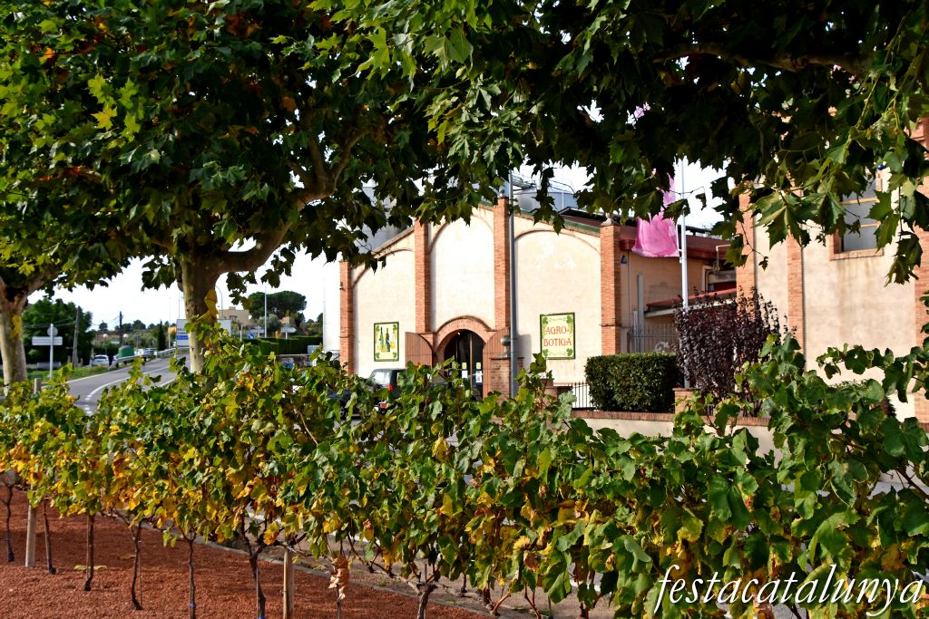 Vila-rodona - Cooperativa Agrícola 