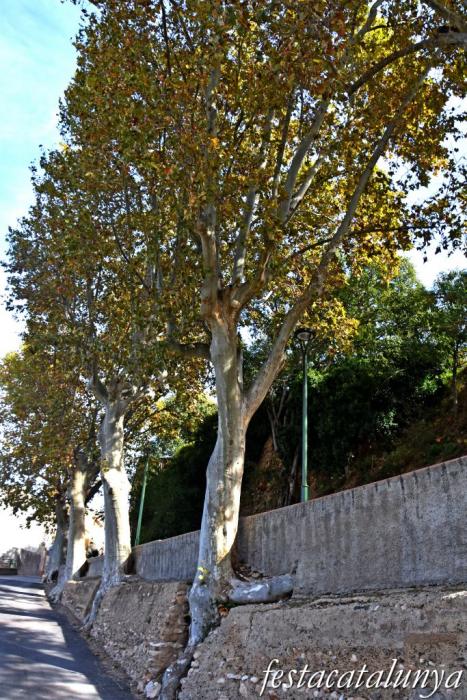 Vila-rodona - Fonts Fresques 