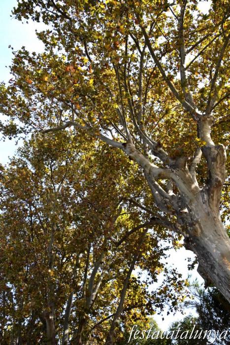 Vila-rodona - Fonts Fresques 