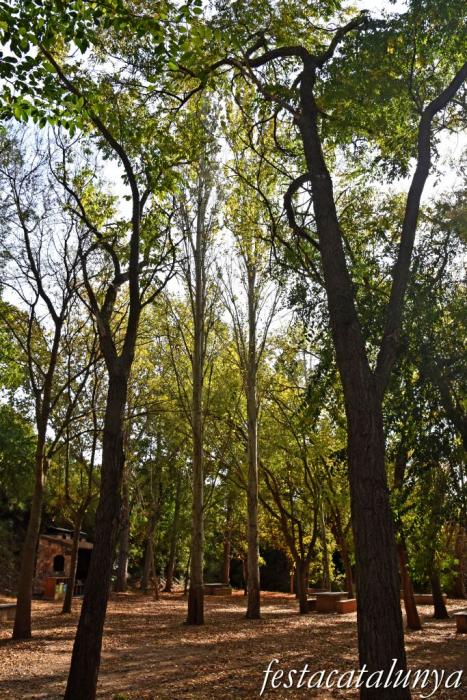 Vila-rodona - L'Albereda 