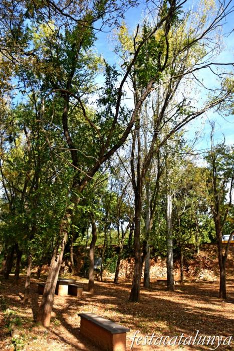 Vila-rodona - L'Albereda 