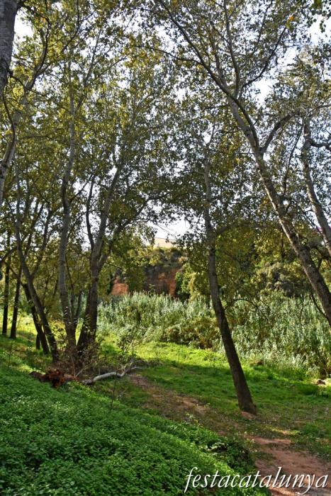 Vila-rodona - L'Albereda