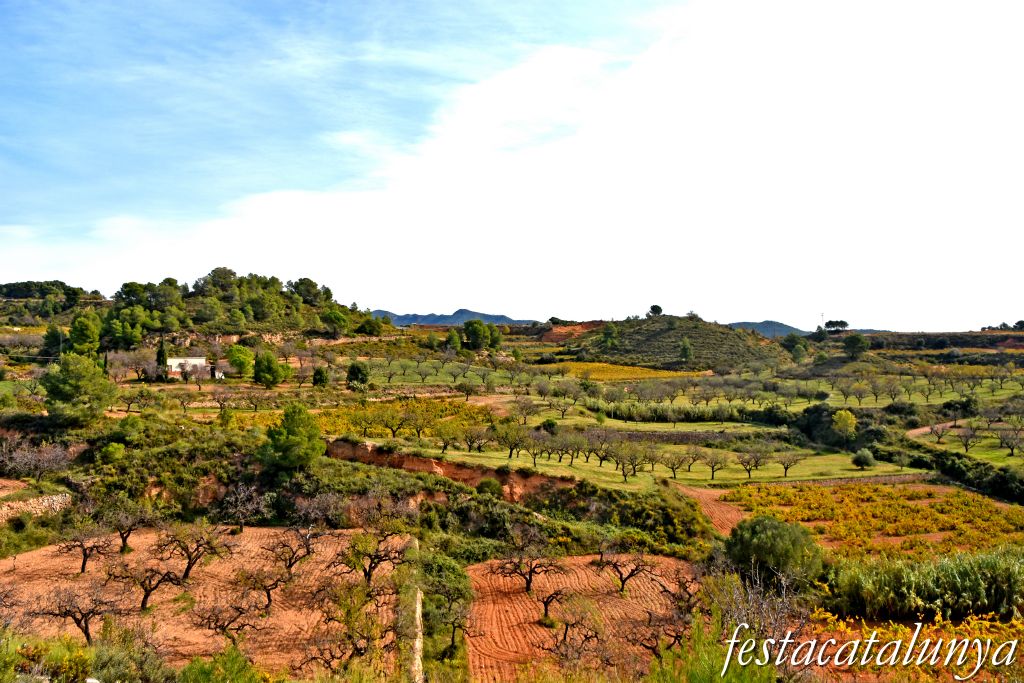 Vila-rodona - Vistes panoràmiques des del castell 