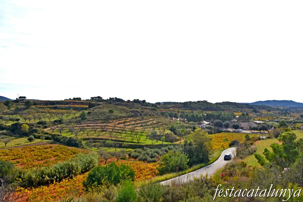 Vila-rodona - Vistes panoràmiques des del castell 