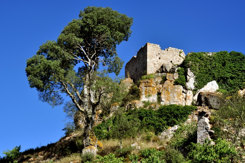Pont Armentera El - Castell de Selmella (Foto:Jordi Contijoch. Inventari Patrimoni Arquitectònic Genneralitat Catalunya)