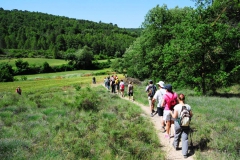 Rutes per Vallfogona de Riucorb