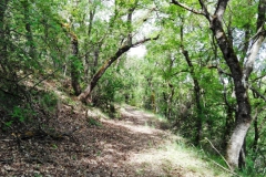 Rutes per Vallfogona de Riucorb