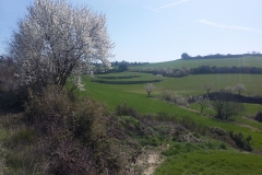 Rutes per Vallfogona de Riucorb