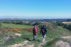 Rutes per Vallfogona de Riucorb