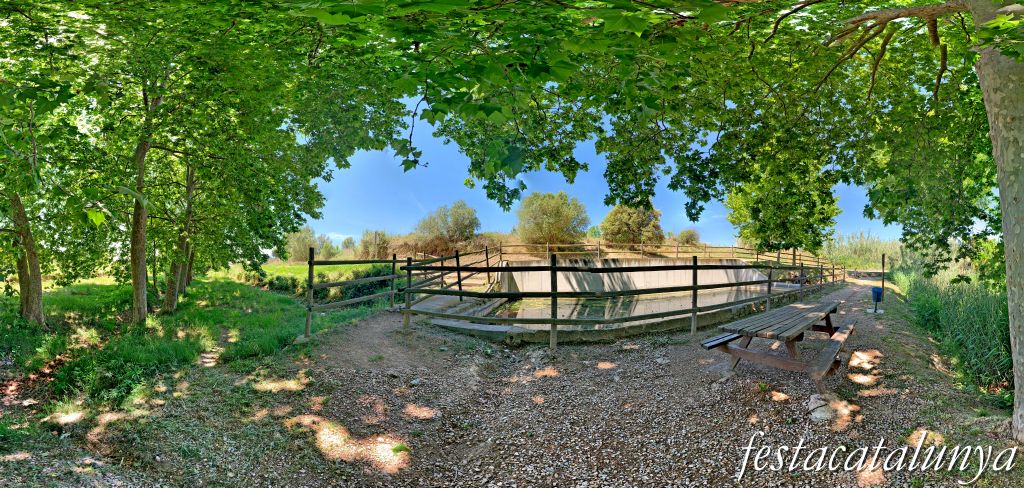 Sant Jaume dels Domenys - Font i Bassa Gran
