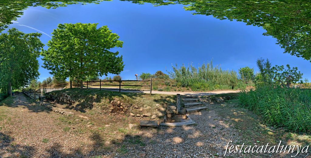 Sant Jaume dels Domenys - Font i Bassa Gran