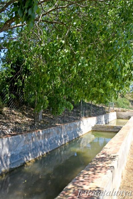 Sant Jaume dels Domenys - Font i Safareigs del Papiolet