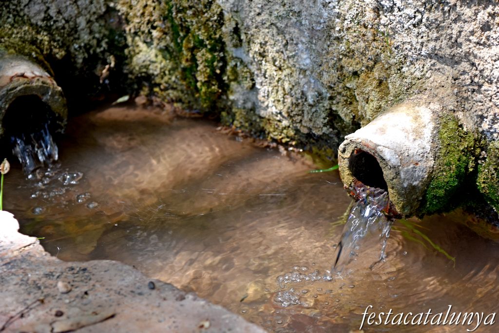 Sant Jaume dels Domenys - Font i Safareigs del Papiolet