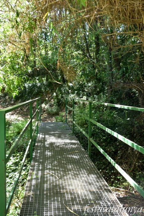 Sant Jaume dels Domenys - Font i Safareigs del Papiolet