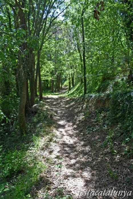 Sant Jaume dels Domenys - Font i Safareigs del Papiolet
