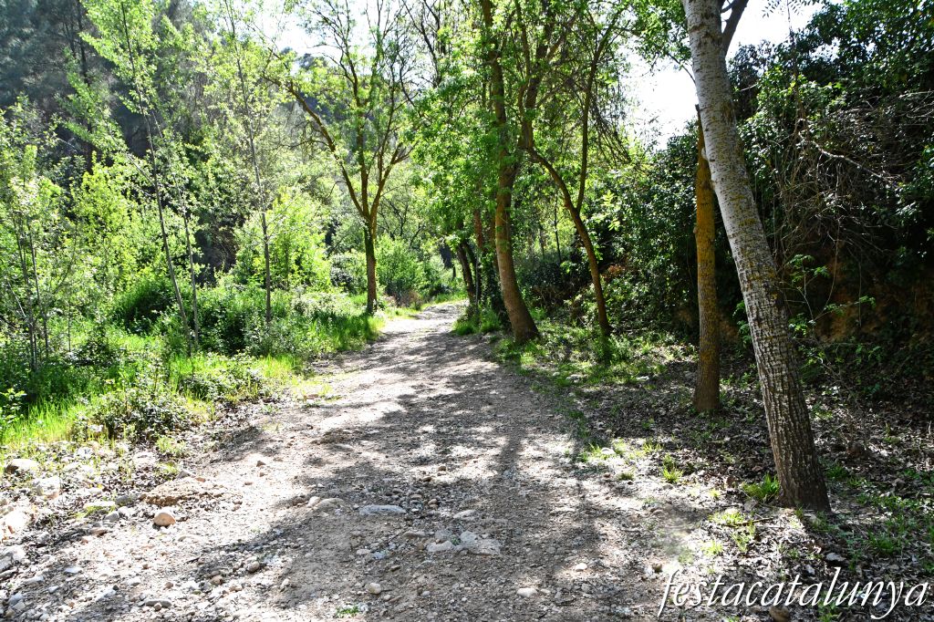 El Pont d'Armentera - Passeig del Riu 