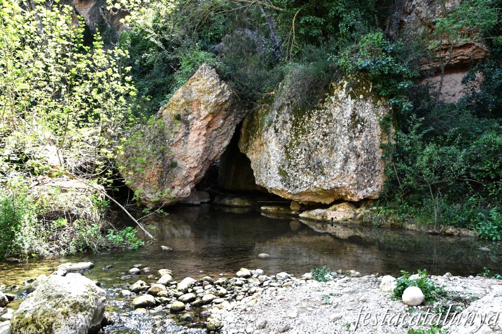 El Pont d'Armentera - Passeig del Riu - Gorg del Salt 