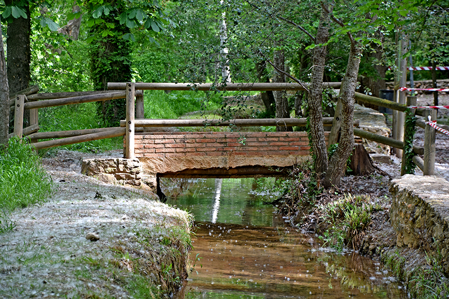 Albereda de Santes Creus a Aiguamúrcia